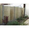 Colin the Fence Man