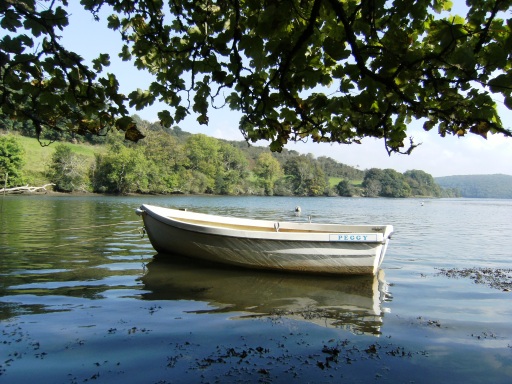 Enjoy fishing and exploring the creeks