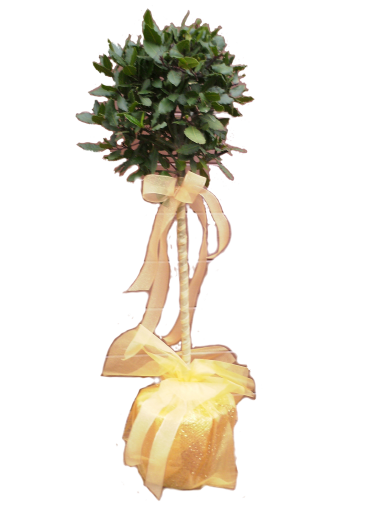 Decorated Bay Tree