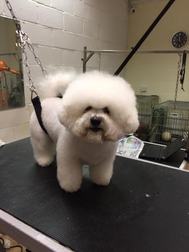 image1