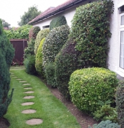 Garden Maintenance, Golders Green, North West London