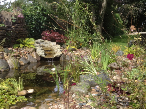 A calming focal point in this garden