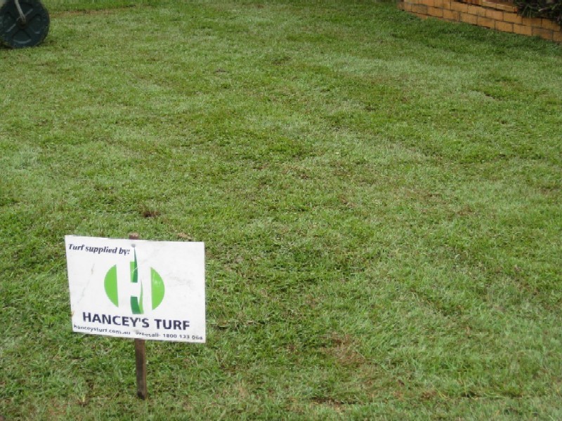 Hanceys Turf Supplies 269 Nicklin Way Warana, Sunshine Coast, 4575