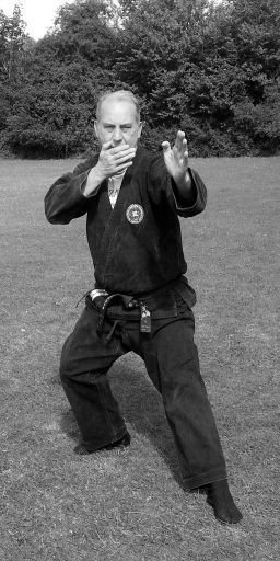 Iga Ryu Ninjutsu Fighting Stance