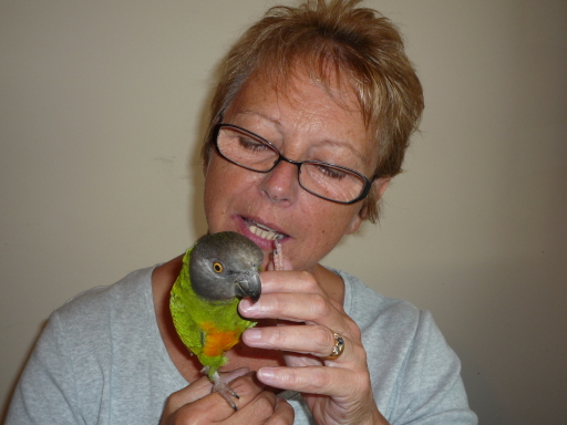 Kim with Jim, the Senegal Parrot