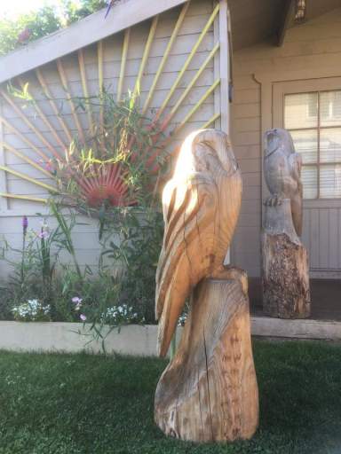 Tree stump carving. We come to you !