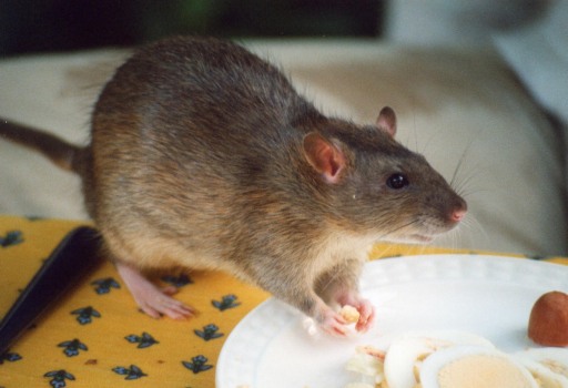 image0