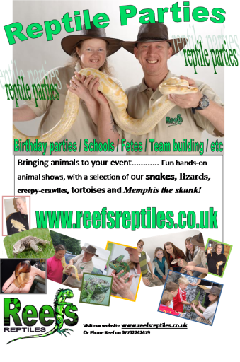 Animal Shows for parties, schools, fetes, open days and fun days