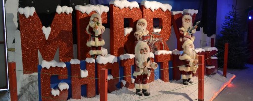 Christmas Trees