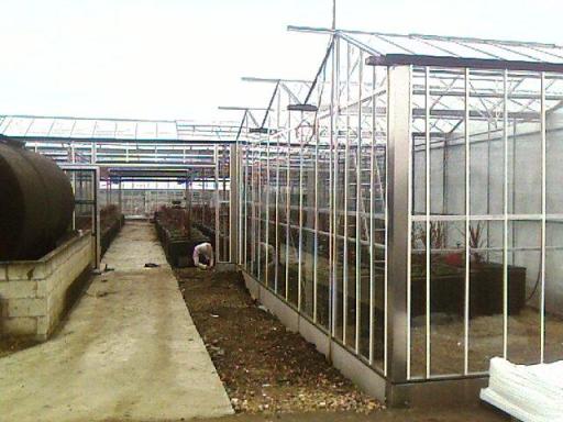 commercial greenhouses