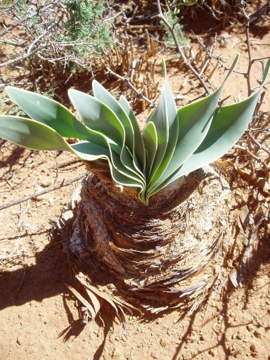 image0