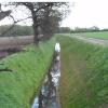 Leinster Plant & Peat Ltd