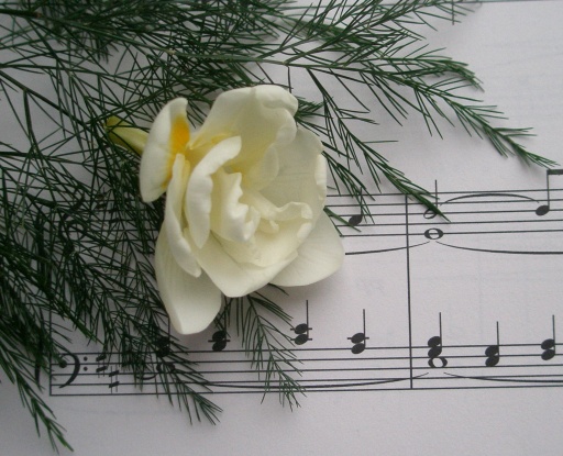 image0