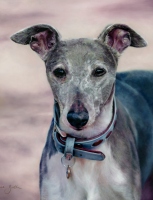 Tiggy Oil Painting