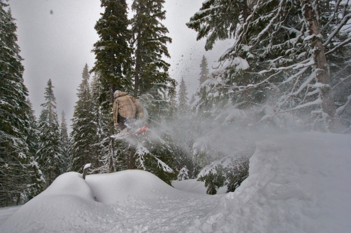 Hitting the tree lines in Jasna Slovakia