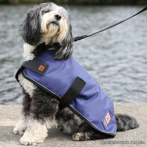 Ginger Ted Waterproof Dog Coat