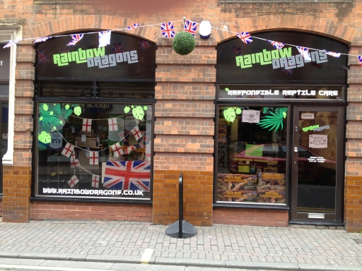 Rainbow Dragons Triniry Street Worcester 01905780911