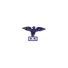 Aquila Istituto di Vigilanza