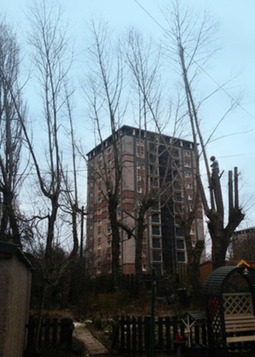 image0