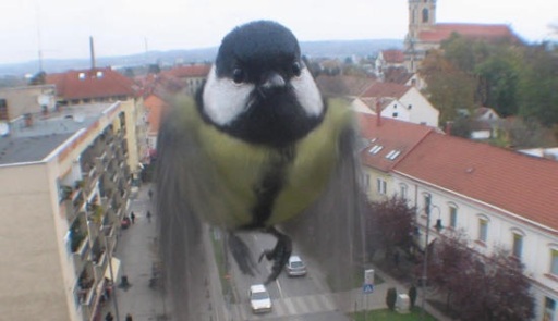 image0