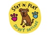 Stay N Play Doggy Daycare