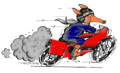 Urgent Sameday Couriers
