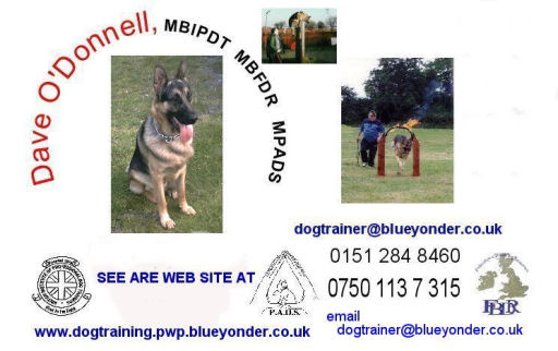 SEE ARE WEB SITE