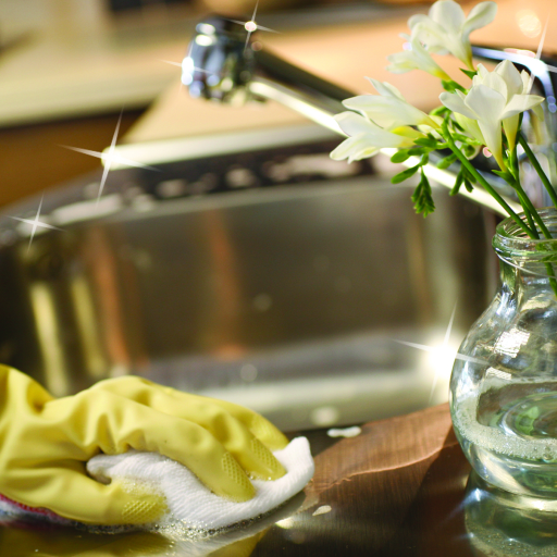 Make that Sink gleam!