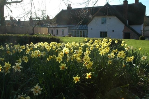 Spring time at Arden Cottage