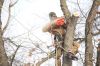 J&L Tree Service