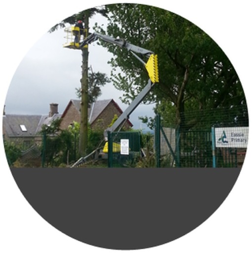 image1