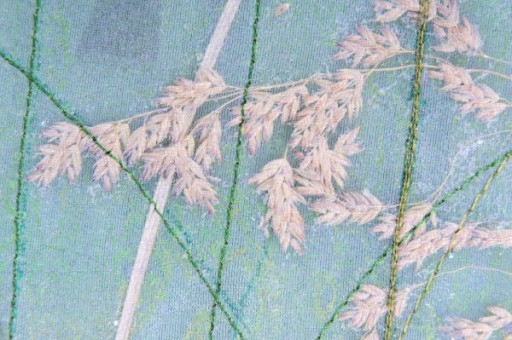 Detail from embroidered panel.