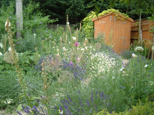 Designed garden in Botley