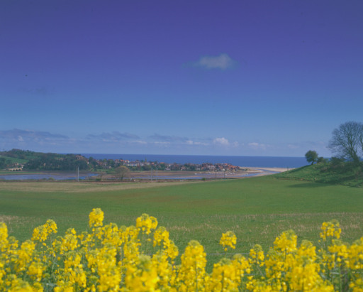 view from biltonbarns B&amp;B