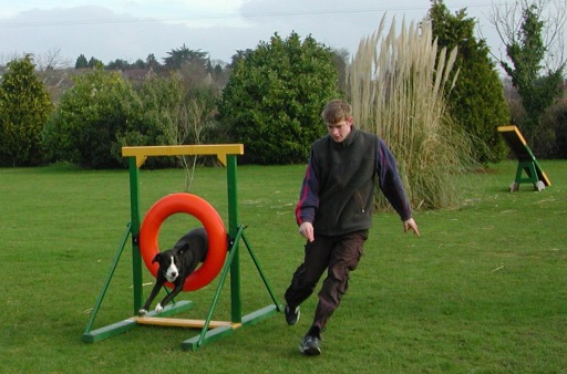 Agility Hoop