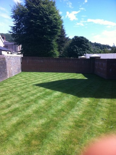 Lawn cutting is our speciality