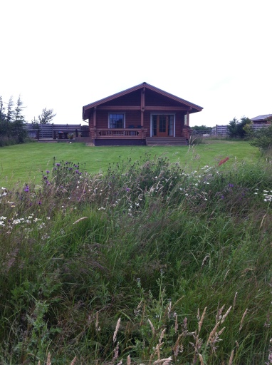 image0