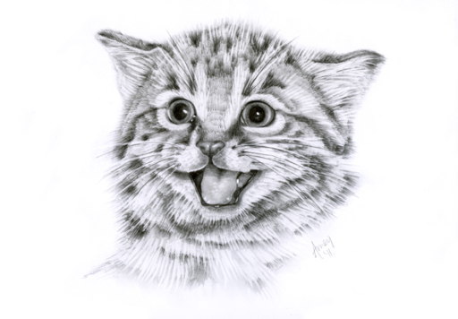 stunning pencil portraits of your pet