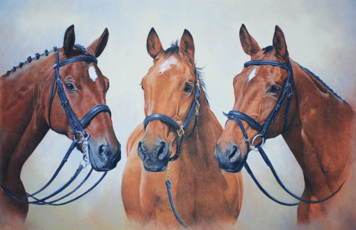 Ashanti &amp; Her Boys, Horse Portrait