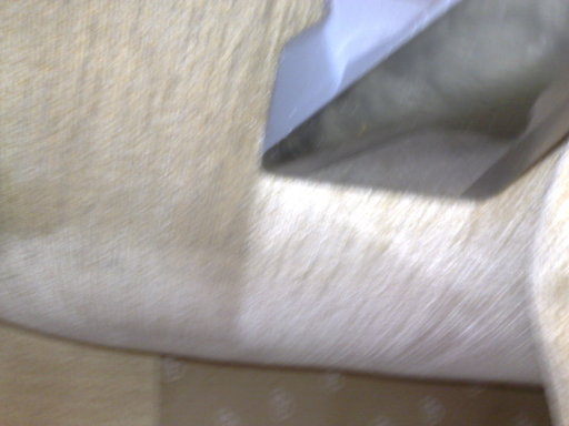 UpholsteryCleaning results