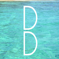 Doing Designs