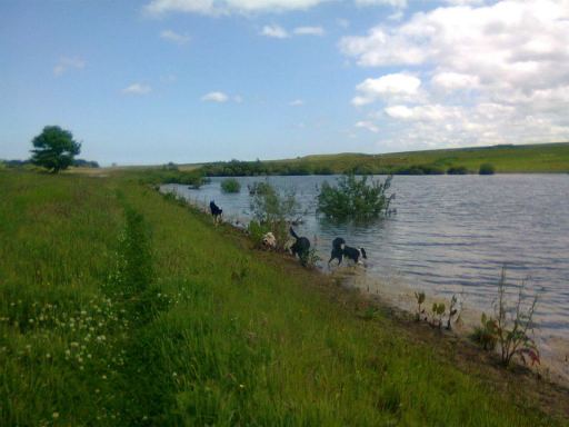 image0