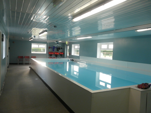 8m x 4m bespoke canine swimming pool