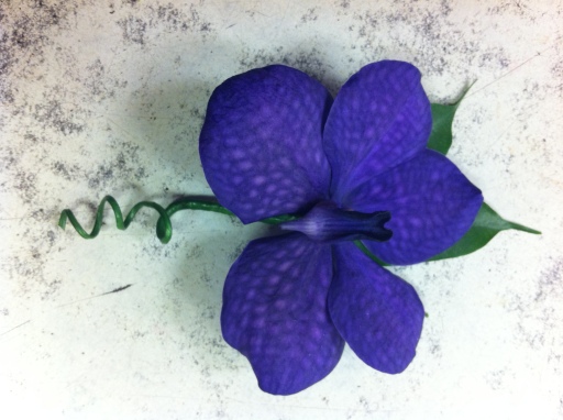 stunning vanda orchid buttonhole