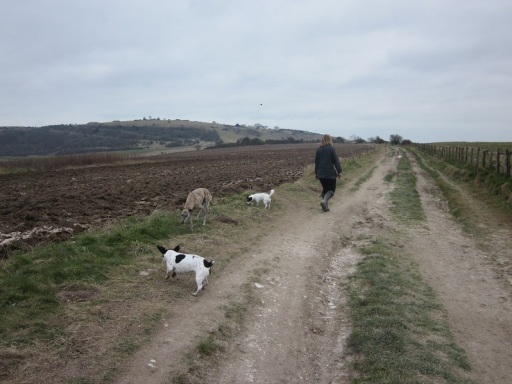 Group walk