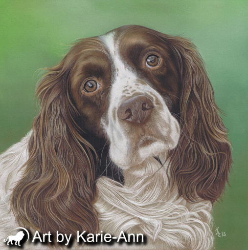 Dog Portraits by Art by Karie-Ann
