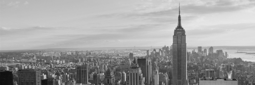 NEWnewYork1