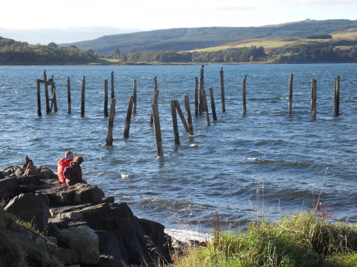 watching for otters at old Salen pier