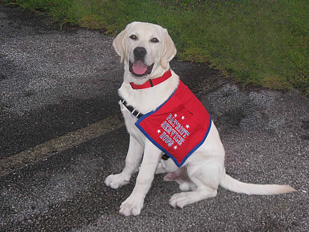 Patriot Service Dogs 4729 Blount Ave, Jacksonville, FL, 32210