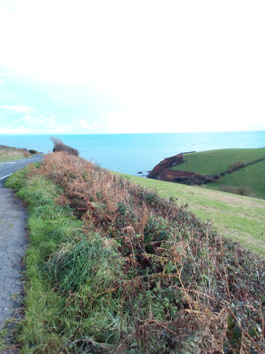 great Cornish views